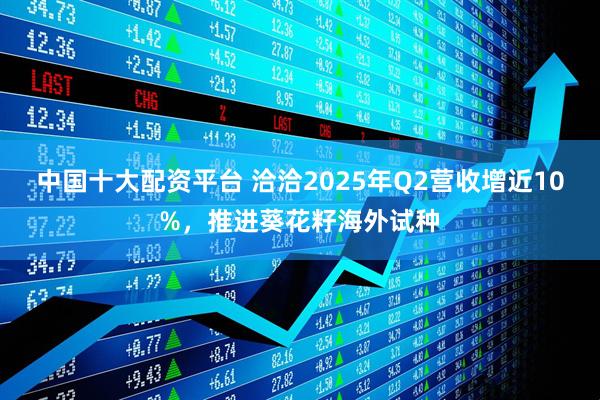 中国十大配资平台 洽洽2025年Q2营收增近10%，推进葵花籽海外试种
