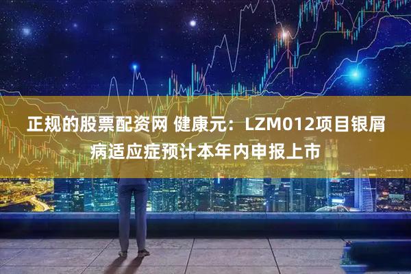 正规的股票配资网 健康元:LZM012项目银屑病适应症预计本年内申报上市